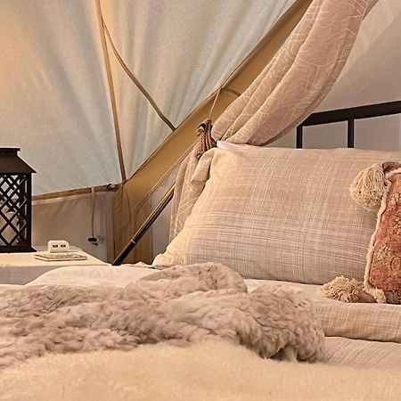 Shenandoah Valley Glamping - Amazing Views - Farm Edinburg Buitenkant foto