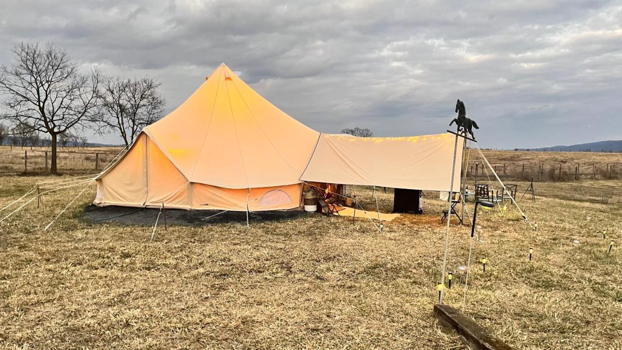 Shenandoah Valley Glamping - Amazing Views - Farm Edinburg Buitenkant foto