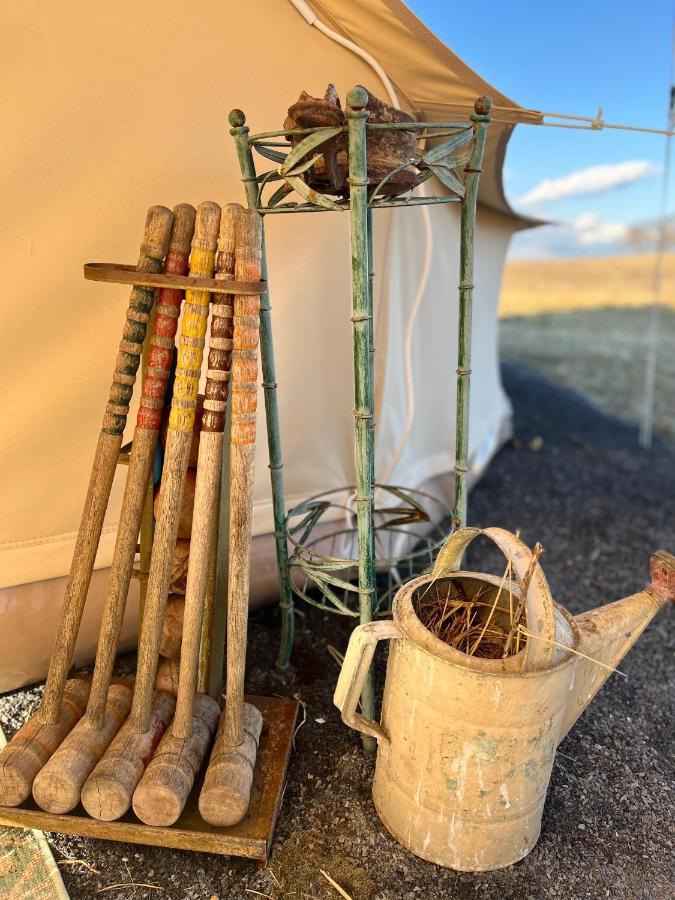 Shenandoah Valley Glamping - Amazing Views - Farm Edinburg Buitenkant foto