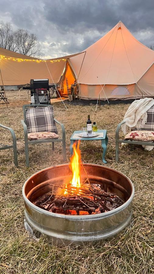 Shenandoah Valley Glamping - Amazing Views - Farm Edinburg Buitenkant foto