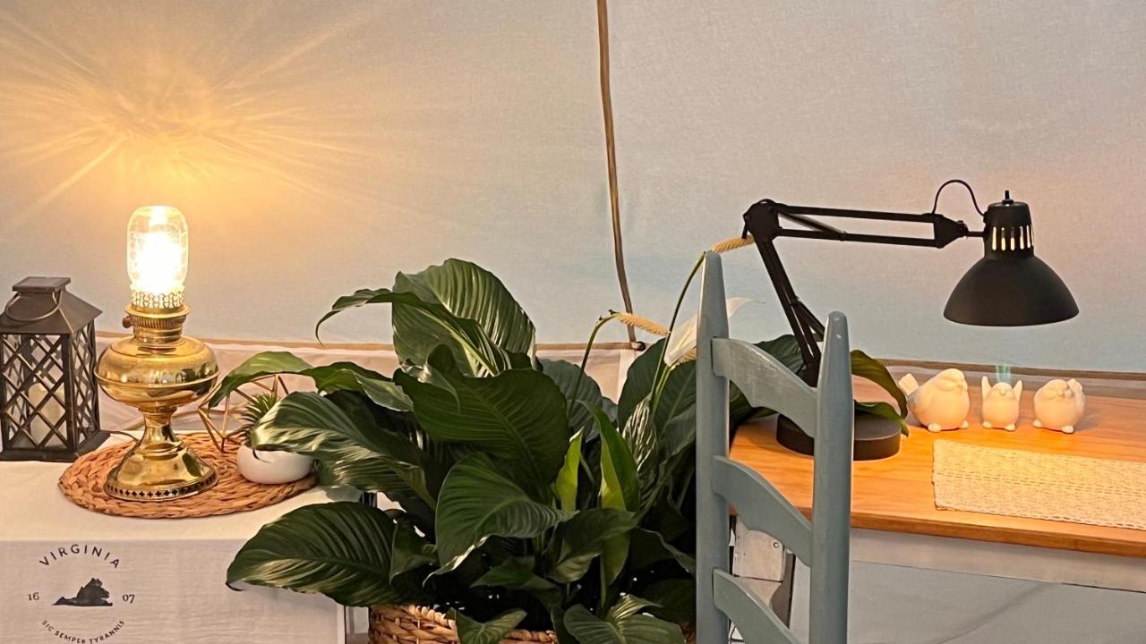 Shenandoah Valley Glamping - Amazing Views - Farm Edinburg Buitenkant foto