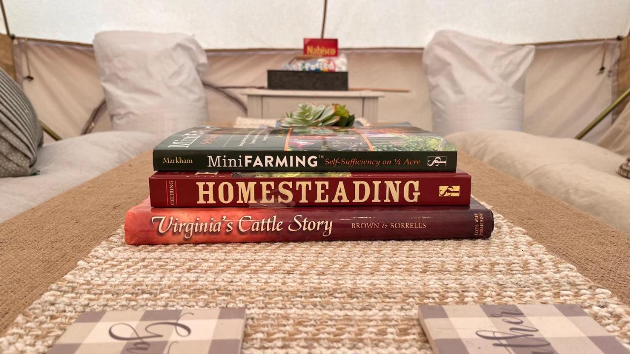 Shenandoah Valley Glamping - Amazing Views - Farm Edinburg Buitenkant foto