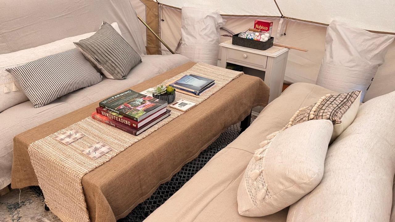 Shenandoah Valley Glamping - Amazing Views - Farm Edinburg Buitenkant foto