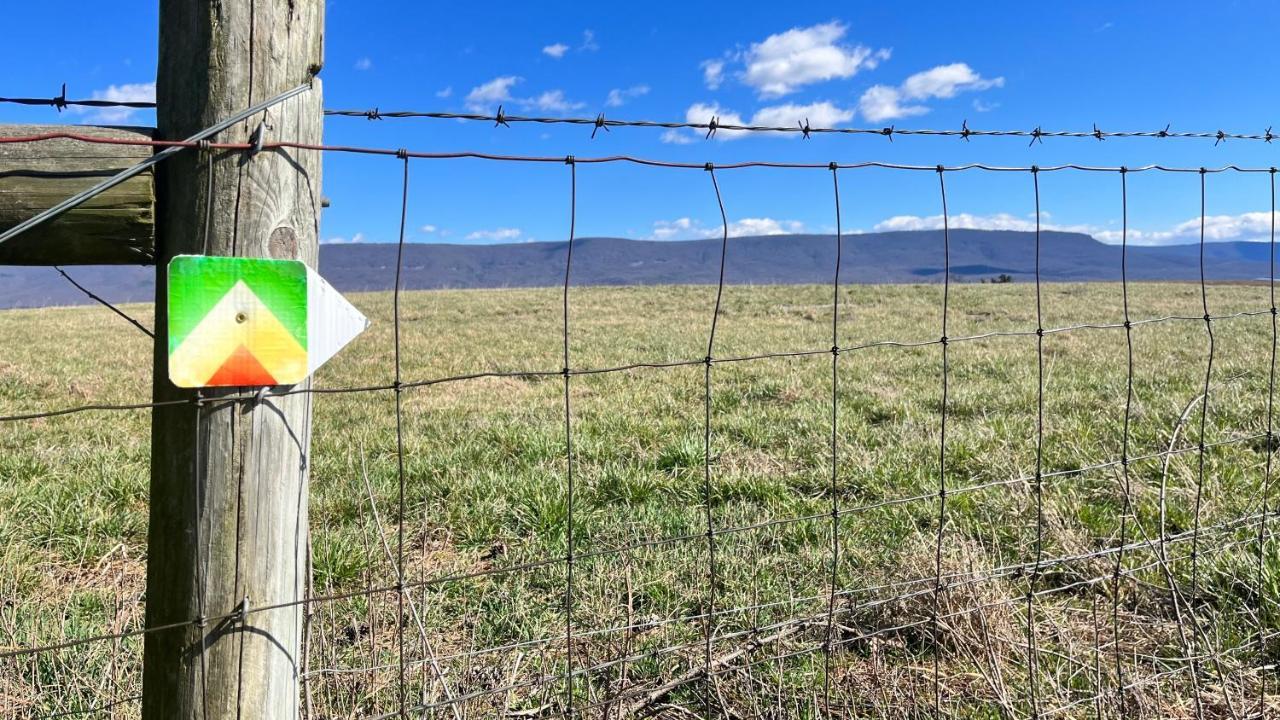 Shenandoah Valley Glamping - Amazing Views - Farm Edinburg Buitenkant foto