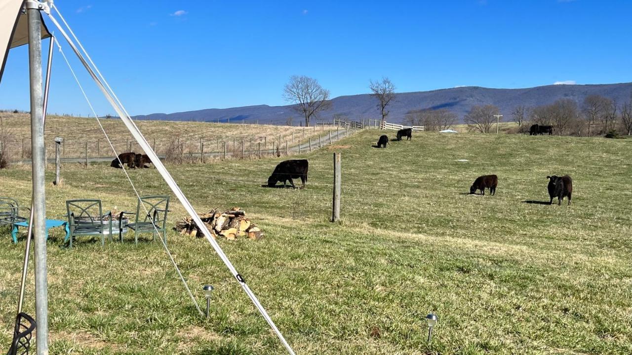 Shenandoah Valley Glamping - Amazing Views - Farm Edinburg Buitenkant foto